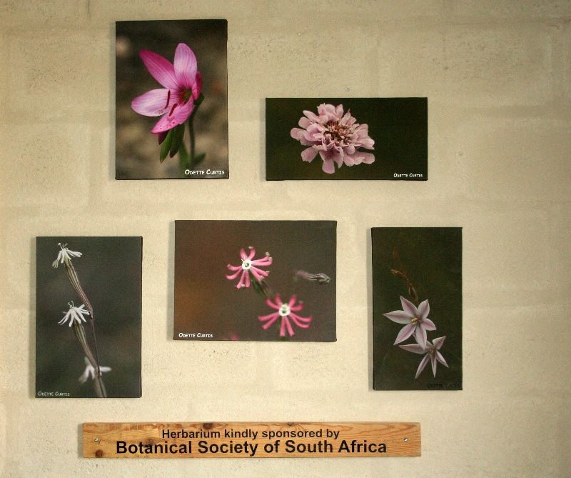 BotSoc Herbarium