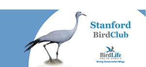 Birdlife Stanford