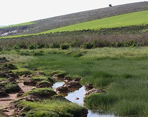 Update on the Watercourse Restoration Project