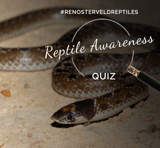 Quiz: A snake encounter to AVOID