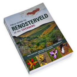 Field Guide to Renosterveld of the Overberg