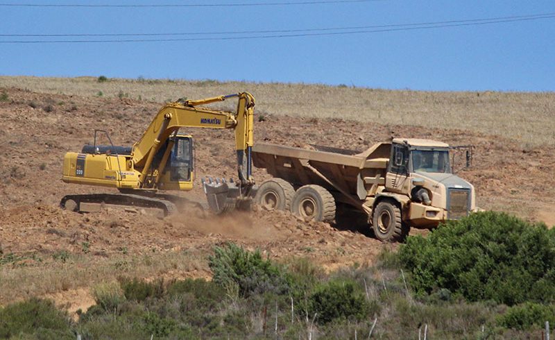 In plain sight: Illegal ploughing still threatens Overberg Renosterveld