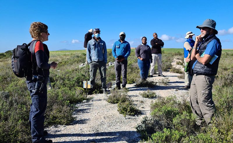 Building Extension Capacity in our Renosterveld Landscapes