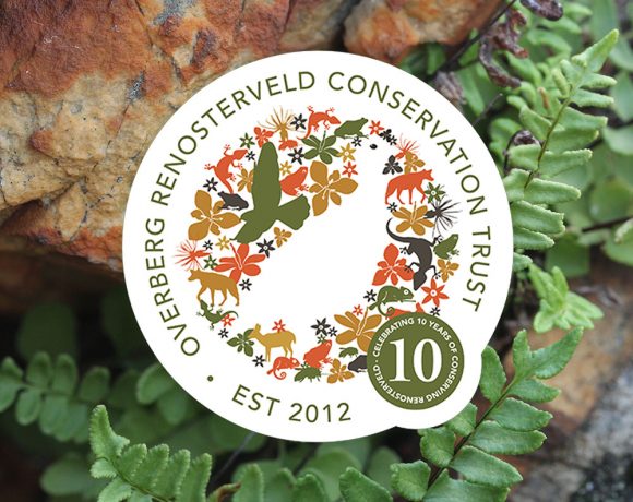 Renosterveld conservation in the Overberg turns 10 years old