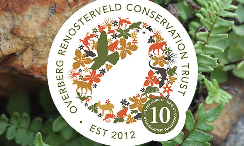 Renosterveld conservation in the Overberg turns 10 years old