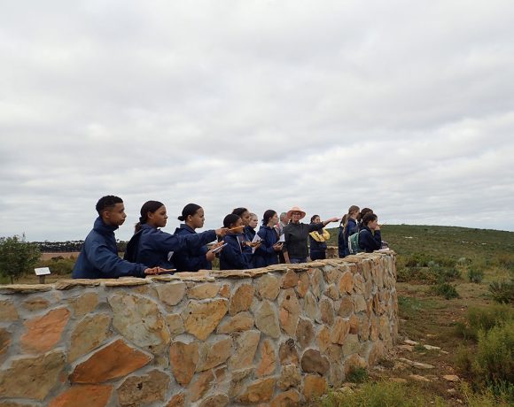 A busy year for the Veld School: Experiencing nature on our doorstep