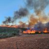 Fiery restoration action across farm boundaries
