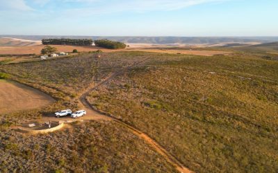 Haarwegskloof declared a Nature Reserve:  A win for renosterveld conservation 