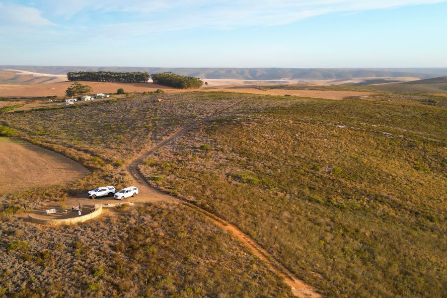 Haarwegskloof declared a Nature Reserve:  A win for renosterveld conservation 