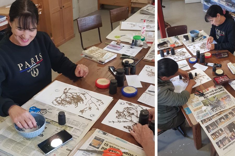Over 1,000 specimens strong: Growing our renosterveld herbarium