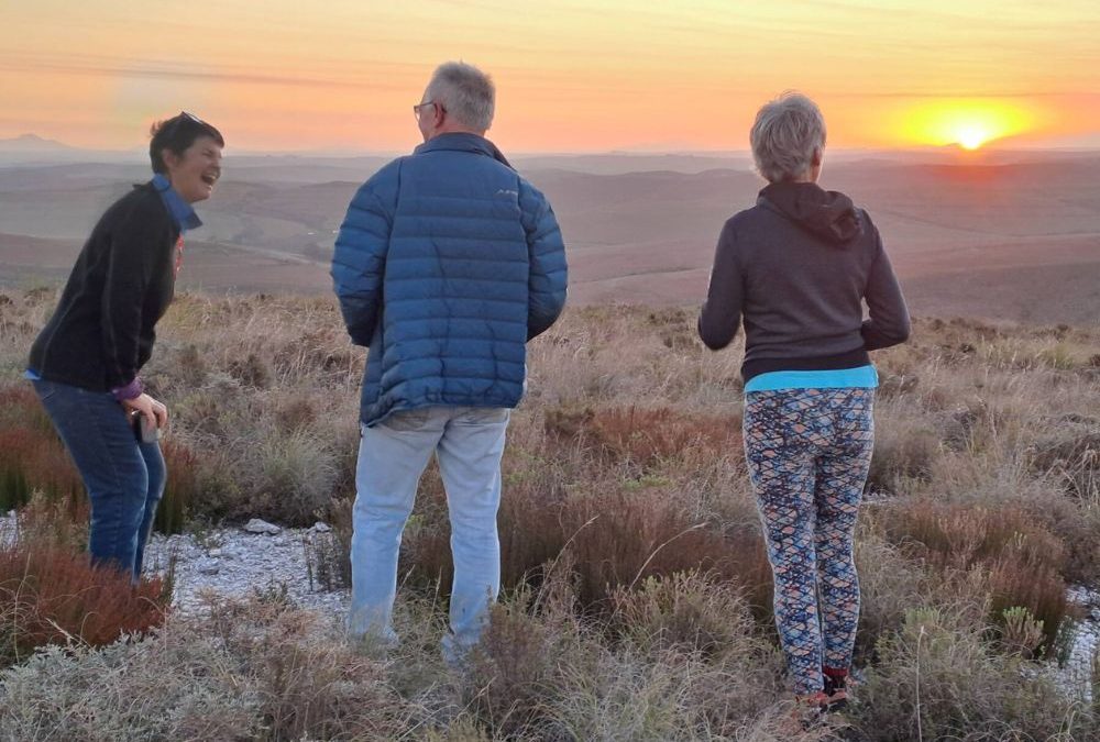 Pedals, plants & peace: A renosterveld stop on the Overberg Meander
