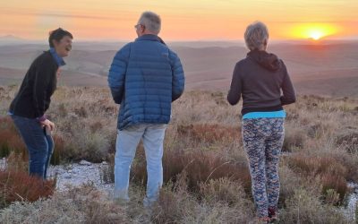 Pedals, plants & peace: A renosterveld stop on the Overberg Meander