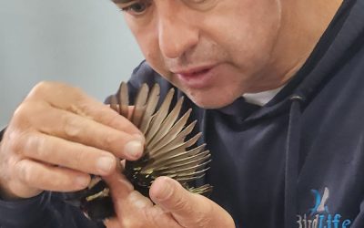 A birding weekend not to be missed