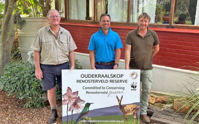Size matters: A new large-scale renosterveld landscape protected