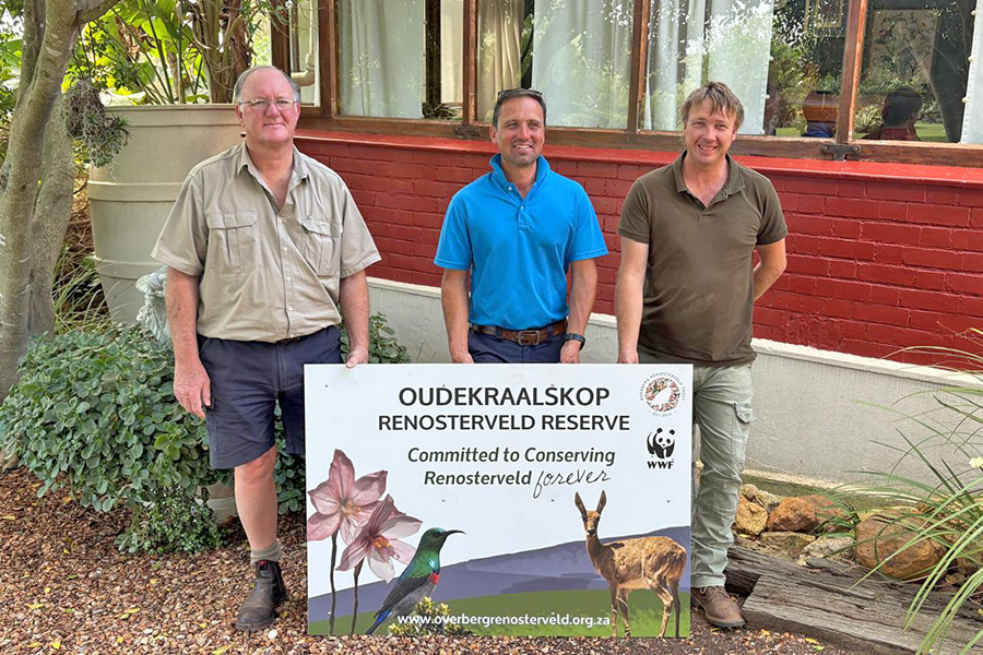 Size matters: A new large-scale renosterveld landscape protected