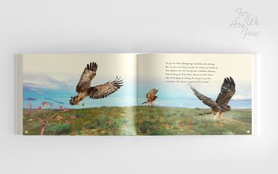 A book for all ages, to bring out the child in you