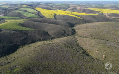 Regenerative farming: Do you really know your farm?