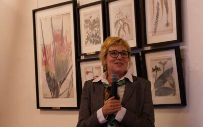 An evening for the Black Harrier: celebrating wings, words and wonder